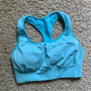 Light Blue Champion Sports Bra